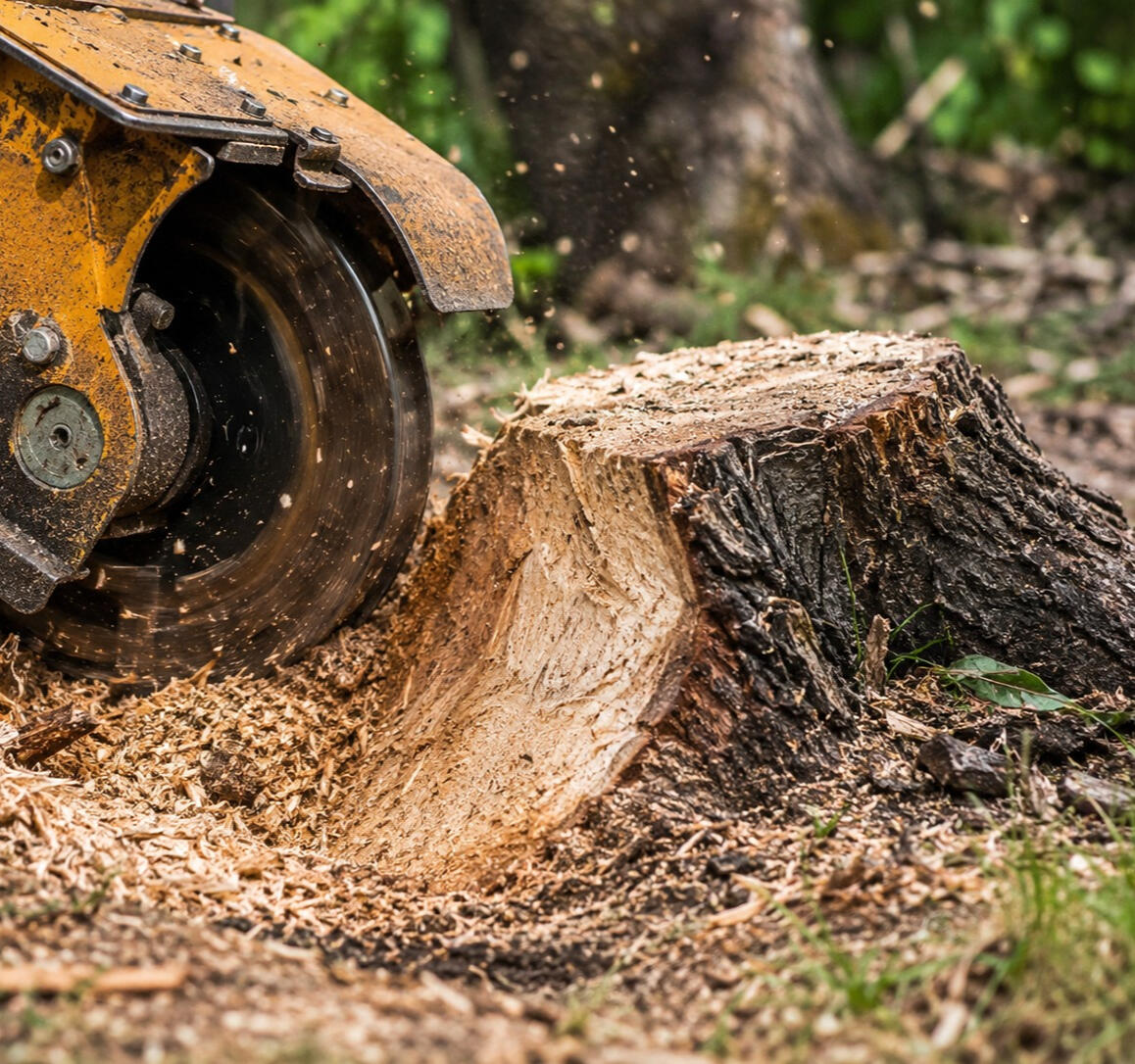Stump Grinding